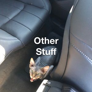 Small bags/wallets/charms/etc